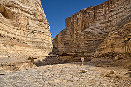 Bernhard Saalfeld - En Avdat (8v9)